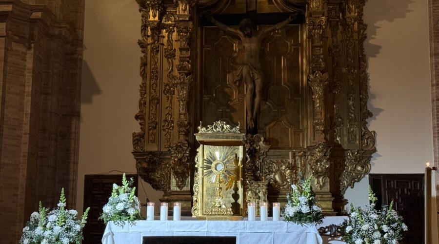 Festividad de San Pablo en la Archidiócesis de Sevilla